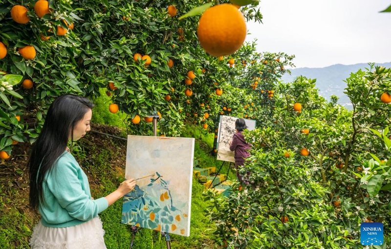 People paint at an orange orchard of Shuitianba Township, Zigui County of central China's Hubei Province, April 15, 2026. (Photo by Zheng Jiayu/Xinhua)