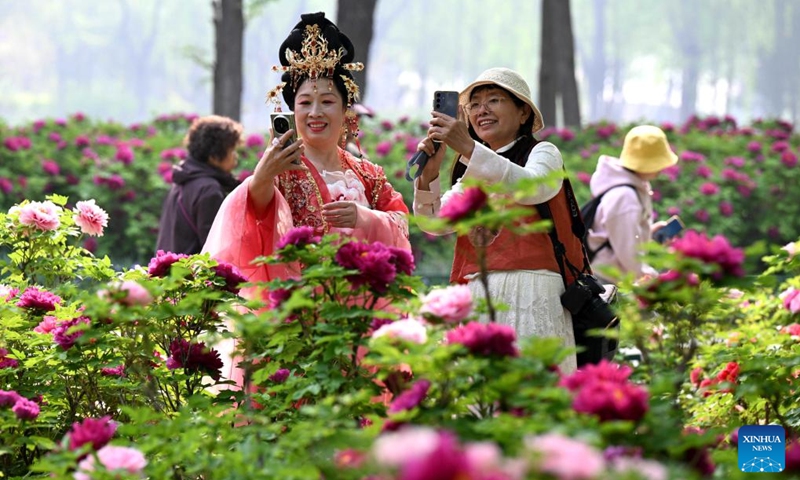 Tourists take photos at the peony garden of the Shijiazhuang botanical garden in Shijiazhuang, north China's Hebei Province, April 15, 2026. (Photo by Chen Qibao/Xinhua)