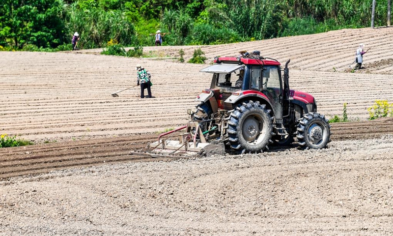 Farmers work in the fields of Weituo Town, Hechuan District, southwest China's Chongqing, April 18, 2026. The fields in Hechuan District of Chongqing are bustling with farming activity during the spring plowing season.

Hechuan, which serves as a key area for grain production and an important agricultural product protection zone in Chongqing, has seen its total grain output ranking the first in the city for 18 consecutive years. Photo: Xinhua