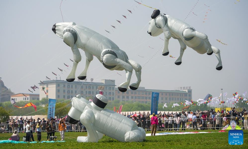 This photo taken on April 18, 2026 shows kites in the shape of robotic dogs at the 43rd Weifang International Kite Festival in Weifang, east China's Shandong Province. The festival kicked off here on Saturday. (Xinhua/Xu Suhui)