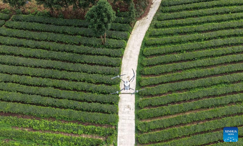 An aerial drone photo taken on April 17, 2026 shows a drone operated by an instructor for demonstration at a tea garden in Baicha Village of Yundong Town, Duyun City of Qiannan Bouyei and Miao Autonomous Prefecture, southwest China's Guizhou Province. Trainees on an agricultural drone application training course in Guizhou Province took part in practical exercises in Duyun City on Friday to improve their skills in operating crop protection drones. (Xinhua/Yang Wenbin)