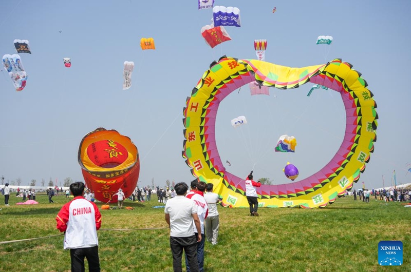 Fanciers fly kites at the 43rd Weifang International Kite Festival in Weifang, east China's Shandong Province, April 18, 2026. The festival kicked off here on Saturday. (Xinhua/Xu Suhui)