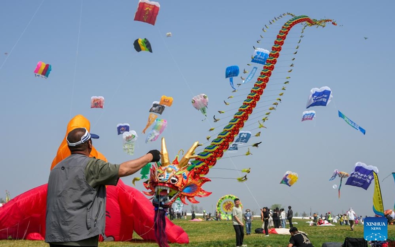 Fanciers fly kites at the 43rd Weifang International Kite Festival in Weifang, east China's Shandong Province, April 18, 2026. The festival kicked off here on Saturday. (Xinhua/Xu Suhui)