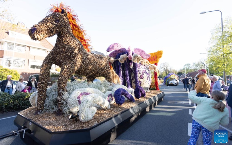 People watch floats during the Flower Parade of the Bollenstreek in Bennebroek, the Netherlands, April 18, 2026. (Photo by Sylvia Lederer/Xinhua)