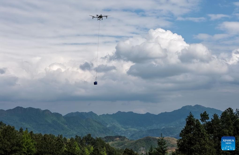 An aerial drone photo taken on April 17, 2026 shows a drone operated by an instructor for demonstration at a tea garden in Baicha Village of Yundong Town, Duyun City of Qiannan Bouyei and Miao Autonomous Prefecture, southwest China's Guizhou Province. Trainees on an agricultural drone application training course in Guizhou Province took part in practical exercises in Duyun City on Friday to improve their skills in operating crop protection drones. (Xinhua/Yang Wenbin)