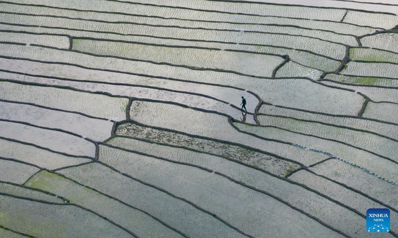 An aerial drone photo taken on April 18, 2026 shows terraced fields in Ganluo County, southwest China's Sichuan Province. (Xinhua/Jiang Hongjing)

