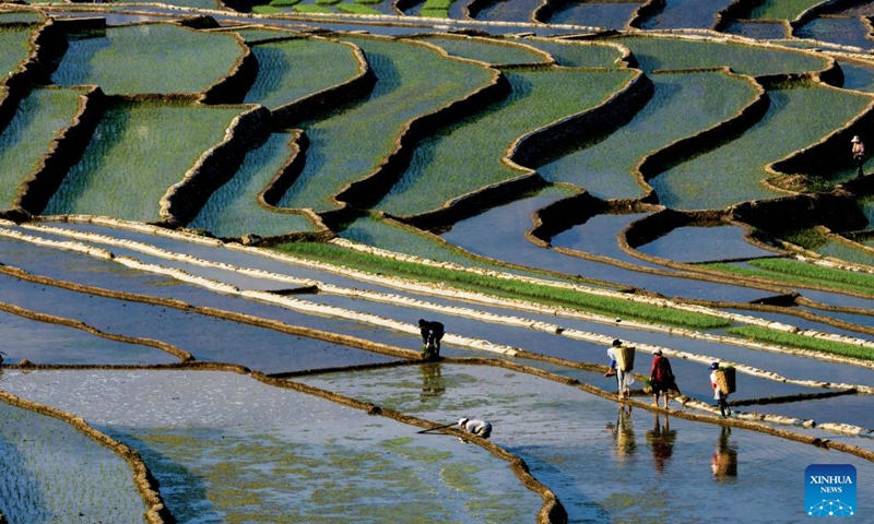 Villagers work in terraced fields in Ganluo County, southwest China's Sichuan Province, April 18, 2026. (Xinhua/Jiang Hongjing)

