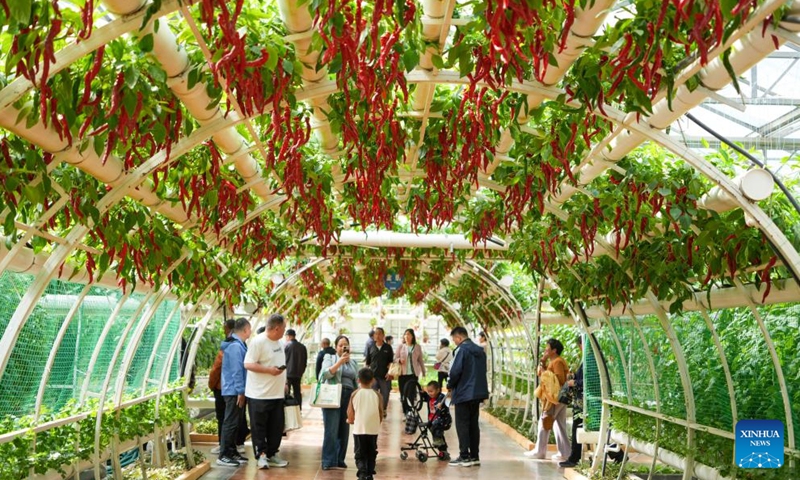 People visit the 27th China (Shouguang) International Vegetable Science and Technology Expo in Shouguang, east China's Shandong Province, April 20, 2026.

