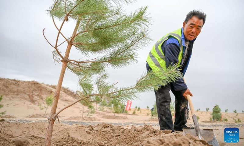 A worker plants a tree at an anti-desertification project area in Horqin Left Wing Rear Banner of Tongliao City, north China's Inner Mongolia Autonomous Region, April 19, 2026. The sandy area of this project is nearly 3,000 mu (200 hectares), which is the last mobile and semi-mobile sandy land to be treated in Horqin Left Rear Banner. (Xinhua/Lian Zhen)

