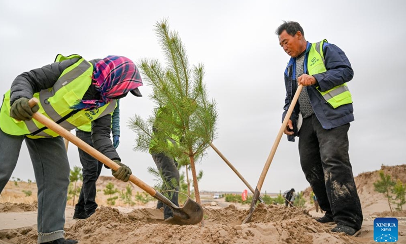 Workers plant trees at an anti-desertification project area in Horqin Left Wing Rear Banner of Tongliao City, north China's Inner Mongolia Autonomous Region, April 19, 2026. The sandy area of this project is nearly 3,000 mu (200 hectares), which is the last mobile and semi-mobile sandy land to be treated in Horqin Left Rear Banner. (Xinhua/Lian Zhen)


