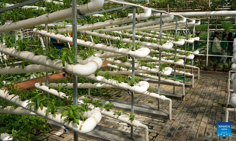 Planting systems are pictured at the 27th China (Shouguang) International Vegetable Science and Technology Expo in Shouguang, east China's Shandong Province, April 20, 2026.

