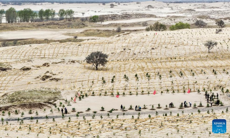 An aerial drone photo taken on April 19, 2026 shows workers planting trees at an anti-desertification project area in Horqin Left Wing Rear Banner of Tongliao City, north China's Inner Mongolia Autonomous Region. The sandy area of this project is nearly 3,000 mu (200 hectares), which is the last mobile and semi-mobile sandy land to be treated in Horqin Left Rear Banner. (Xinhua/Lian Zhen)

