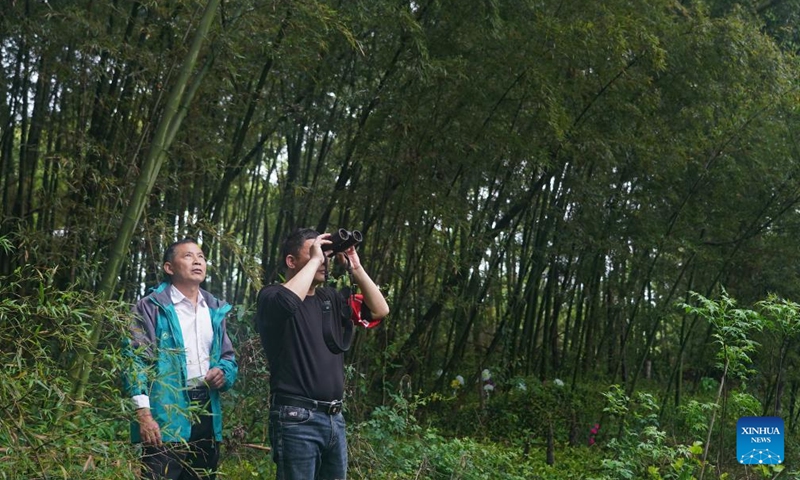 Xu Weishui (L) and a villager observe grey herons in Dazizui Village of Duchang County, east China's Jiangxi Province, April 9, 2026.

