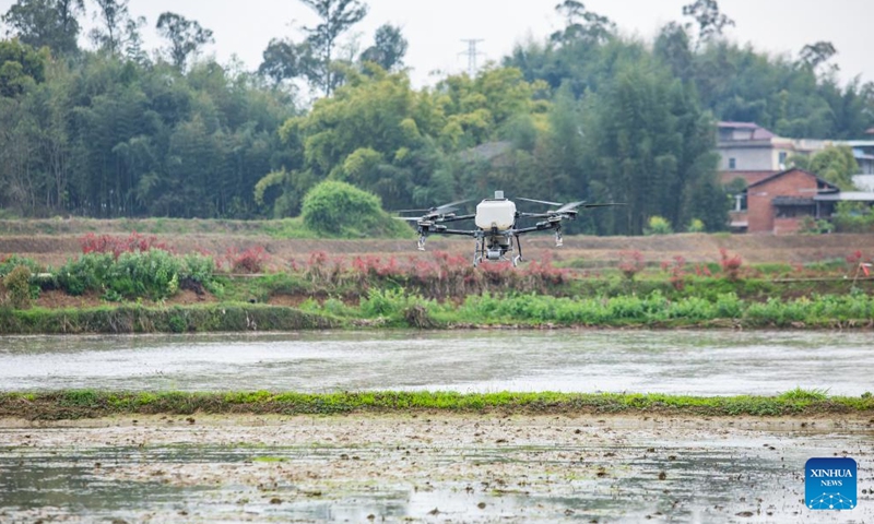 A drone sows rice seeds over fields in Lianglu Village of Liangping District, southwest China's Chongqing, on March 29, 2026. (Photo by Xiong Wei/Xinhua)

