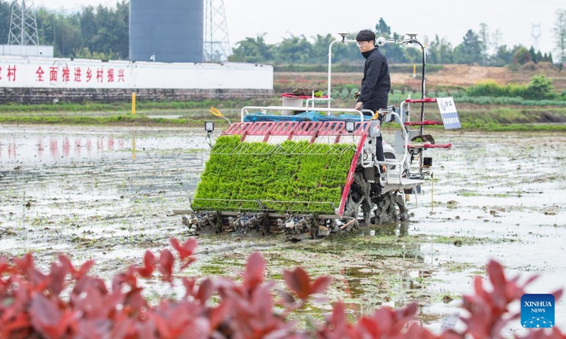 A staff member operates a transplanter to transplant seedlings in Lianglu Village of Liangping District, southwest China's Chongqing, on March 29, 2026. (Photo by Xiong Wei/Xinhua)

