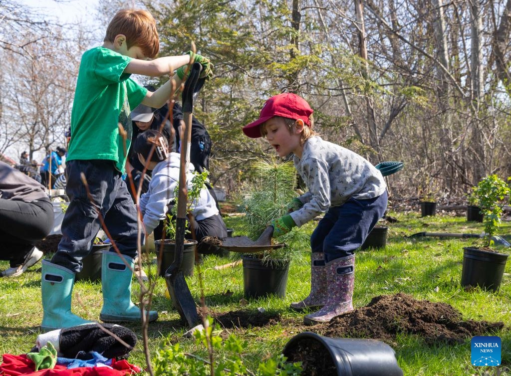 Children participate in a tree planting event at a park in Toronto, Canada, April 22, 2026. The City of Toronto held a tree planting event here on Wednesday to mark Earth Day, drawing more than 160 participants. (Photo by Zou Zheng/Xinhua)

