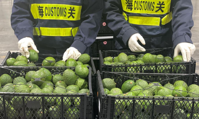 Customs officers inspect avocados imported from Kenya in Shanghai, east China, May 1, 2026. China expanded zero-tariff treatment to all 53 African nations with which it has diplomatic relations. This policy took effect on May 1. (Xinhua)