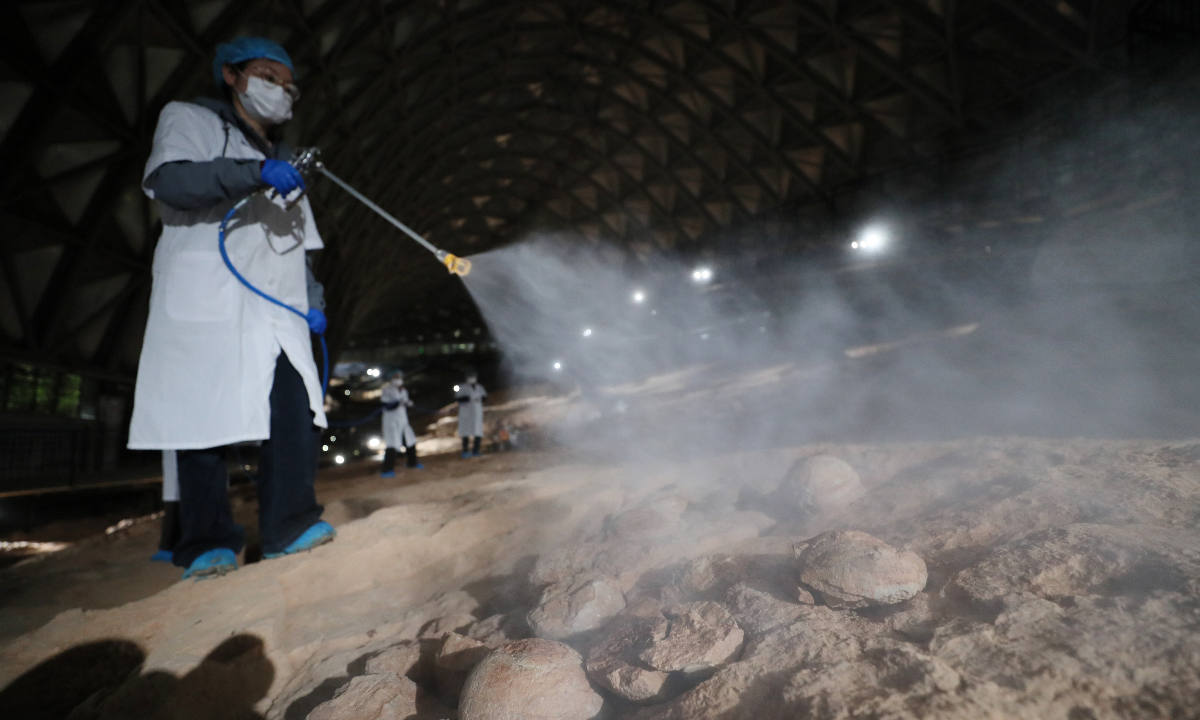 Specialists spray a nano-silica composite emulsion on dinosaur egg fossils. Photo: Courtesy of Zhao Bi