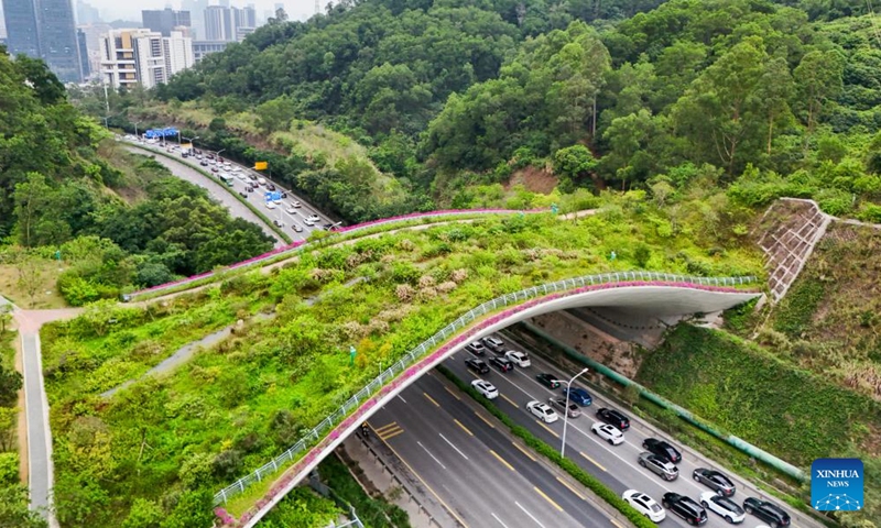 A drone photo taken on April 21, 2026 shows a view of Kunpeng Trail No. 1 Bridge in Shenzhen, south China's Guangdong Province. In recent years, Shenzhen has explored a distinctive path for biodiversity conservation in urban areas by developing ecological trails, building eco-friendly facilities and implementing refined ecological management. These efforts have reserved sufficient space for wildlife habitats and migration routes, creating dual trails to support the harmonious coexistence of humans and wildlife. (Xinhua/Liang Xu)

