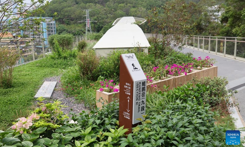 This photo taken on April 21, 2026 shows a view of Kunpeng Trail No. 2 Bridge, with a pedestrian walkway on the right and a wildlife passage on the left, in Shenzhen, south China's Guangdong Province. In recent years, Shenzhen has explored a distinctive path for biodiversity conservation in urban areas by developing ecological trails, building eco-friendly facilities and implementing refined ecological management. These efforts have reserved sufficient space for wildlife habitats and migration routes, creating dual trails to support the harmonious coexistence of humans and wildlife. (Xinhua/Liang Xu)

