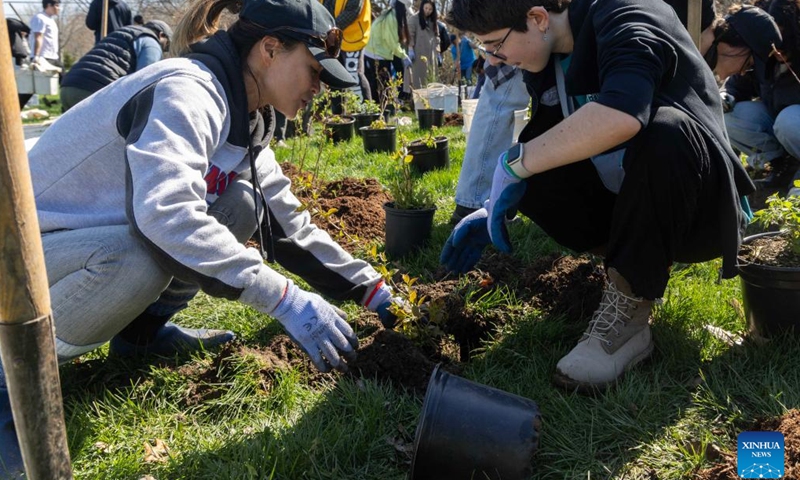 People participate in a tree planting event at a park in Toronto, Canada, April 22, 2026. The City of Toronto held a tree planting event here on Wednesday to mark Earth Day, drawing more than 160 participants. (Photo by Zou Zheng/Xinhua)

