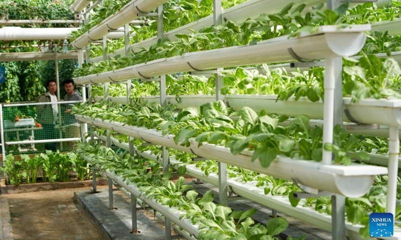 A vertical plantation scenario for unmanned farming is displayed at the 27th China (Shouguang) International Vegetable Science and Technology Expo in Shouguang, east China's Shandong Province, April 20, 2026. Featuring more than 50 types of agricultural robots in its booth for digital agriculture, this year's expo allow visitors to peep into the future of unmanned farming. (Xinhua/Xu Suhui)