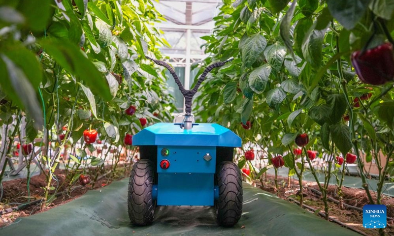 A spraying robot is seen at the 27th China (Shouguang) International Vegetable Science and Technology Expo in Shouguang, east China's Shandong Province, April 20, 2026. Featuring more than 50 types of agricultural robots in its booth for digital agriculture, this year's expo allow visitors to peep into the future of unmanned farming. (Xinhua/Xu Suhui)