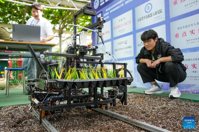 A seedling planting robot is seen at the 27th China (Shouguang) International Vegetable Science and Technology Expo in Shouguang, east China's Shandong Province, April 20, 2026. Featuring more than 50 types of agricultural robots in its booth for digital agriculture, this year's expo allow visitors to peep into the future of unmanned farming. (Xinhua/Xu Suhui)
