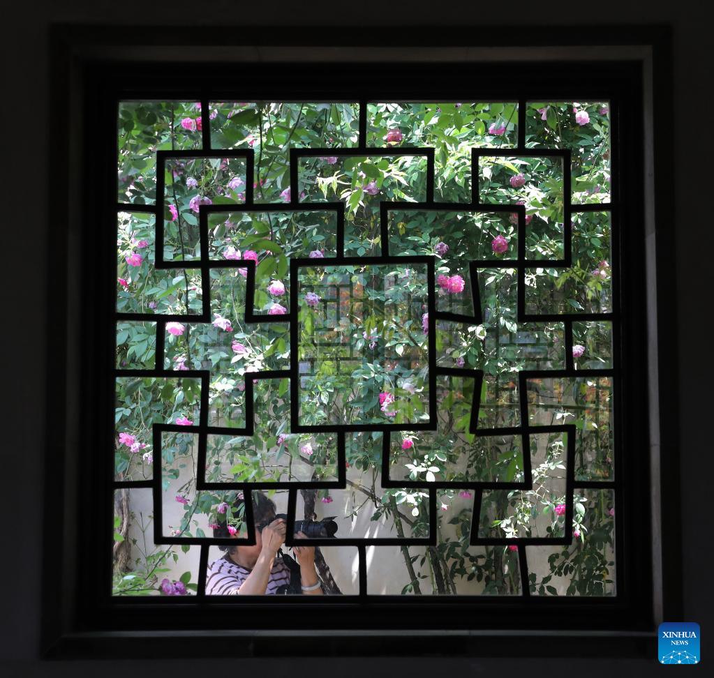 A tourist takes photos at a park in Suzhou, east China's Jiangsu Province, April 24, 2026. (Photo by Hang Xingwei/Xinhua)