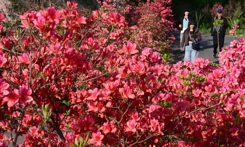 Tourists visit a scenic spot in Ruyang County, central China's Henan Province, April 23, 2026. (Photo by Gao Shanyue/Xinhua)
