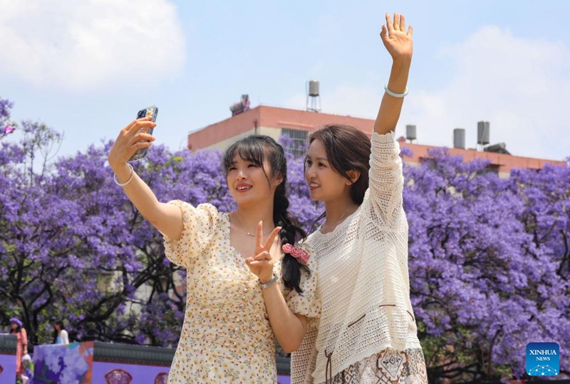 People take selfies with blossoms in Wuhua District of Kunming, southwest China's Yunnan Province, April 25, 2026. (Photo by Zheng Yi/Xinhua)
