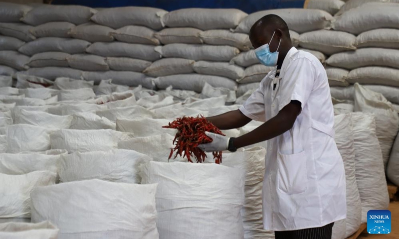 Grishon Nahimana, production manager of Fisher Global, checks the dried chili pepper at the agricultural factory Fisher Global in the Rwamagana Industrial Park, Eastern Province, Rwanda, April 14, 2026. (Xinhua/Ju Yinhe)