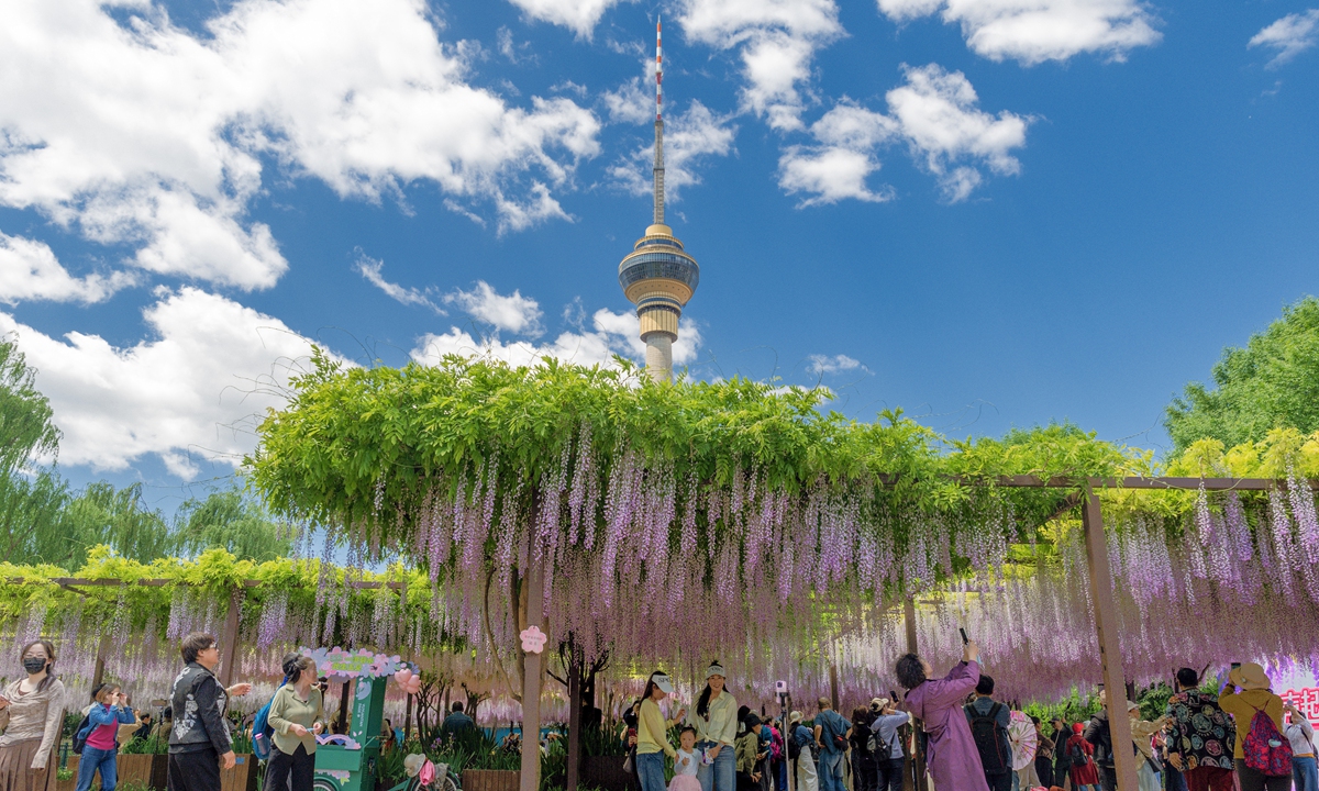 Visitors take in blooming wisteria flowers at Yuyuantan Park in Beijing on April 27, 2026. Crowds of visitors were attracted by the purple 