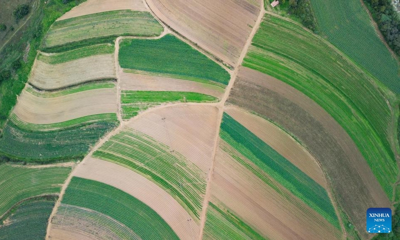 An aerial drone photo taken on April 25, 2026 shows farmlands in the suburb of Johannesburg, South Africa. (Xinhua/Chen Wei)