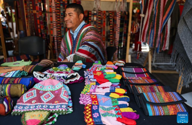 Woolen artworks are pictured at a wool festival in Santiago, Chile, April 25, 2026. (Xinhua/Zhou Jiayi)