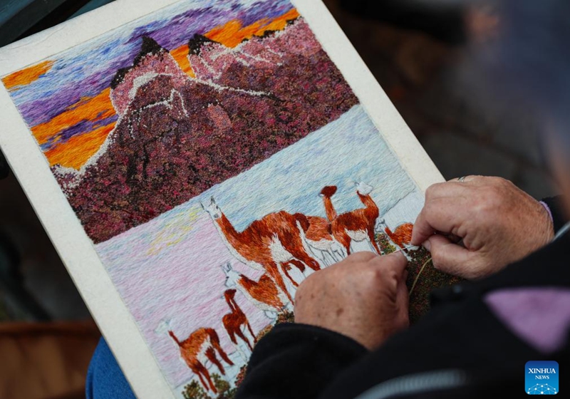 A craftsman makes a woolen embroidery artwork at a wool festival in Santiago, Chile, April 25, 2026. (Xinhua/Zhou Jiayi)