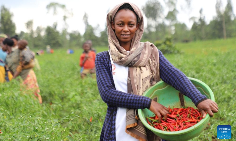 Farmer Deborah Muhawenimana poses for a photo with freshly picked chili pepper in Ibiza Village of Kayonza District in Eastern Province, Rwanda, April 14, 2026. (Xinhua/Ju Yinhe)