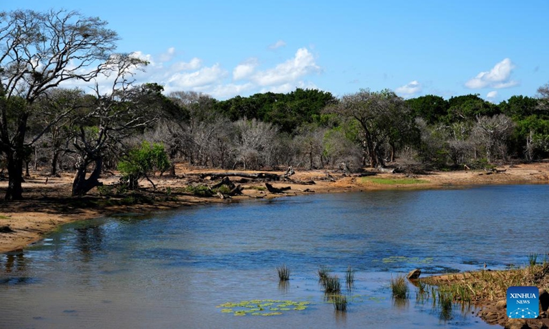 This photo taken on April 25, 2026 shows a view of Yala National Park in Yala, Sri Lanka. (Xinhua/Xu Han)