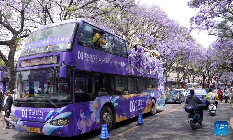 Tourists take a sightseeing bus to enjoy jacaranda blossoms in Kunming, southwest China's Yunnan Province, April 26, 2026. (Photo by Liang Zhiqiang/Xinhua)

