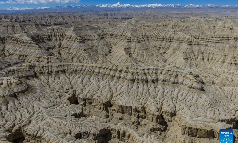 An aerial drone photo taken on April 26, 2026 shows the landscape of earth forest in Zanda County of Ngari Prefecture, southwest China's Xizang Autonomous Region. (Xinhua/Tenzing Nima Qadhup)

