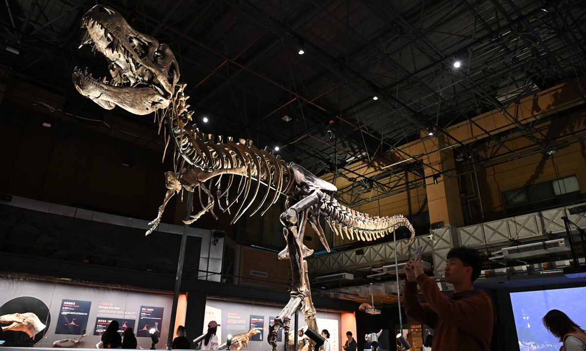 Visitors examine the skeletal fossil of the Tyrannosaurus rex “Rocky” during an exhibition at the National Natural History Museum of China in Beijing on April 28, 2026. Featuring two Tyrannosaurus rex skeletons, “Rocky” and “Regina,” on loan from Germany’s Dinosaurier Museum Altmühltal, the event also marks the first joint exhibition of Chinese and foreign tyrannosaur specimens. Photo: VCG