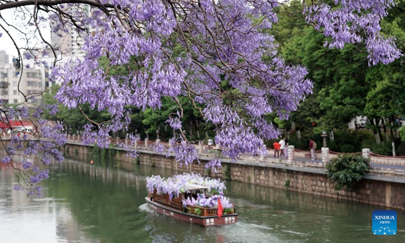 Tourists enjoy jacaranda blossoms by boat in Kunming, southwest China's Yunnan Province, April 27, 2026. (Photo by Liang Zhiqiang/Xinhua)

