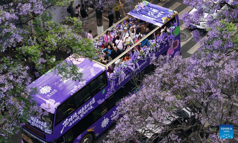 Tourists take a sightseeing bus to enjoy jacaranda blossoms in Kunming, southwest China's Yunnan Province, April 26, 2026. (Photo by Liang Zhiqiang/Xinhua)

