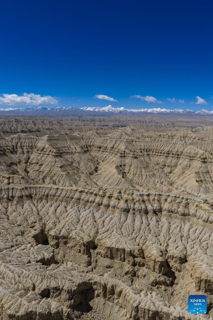 An aerial drone photo taken on April 26, 2026 shows the landscape of earth forest in Zanda County of Ngari Prefecture, southwest China's Xizang Autonomous Region. (Xinhua/Tenzing Nima Qadhup)

