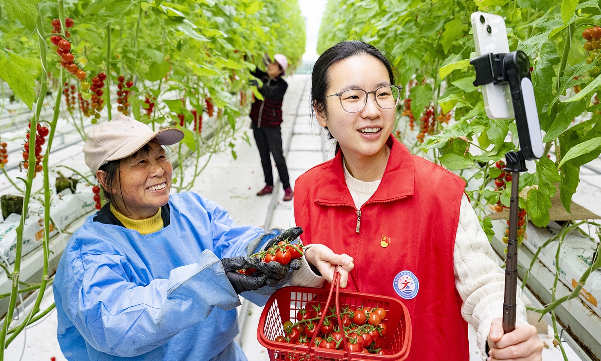 A party volunteer livestreams to sell cherry tomatoes inside a smart greenhouse in Nantong, East China's Jiangsu Province on March 18, 2026.  Photo: VCG