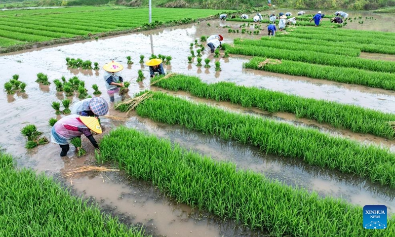 A drone photo taken on April 26, 2026 shows farmers working in a paddy field in Yueguang Village of Baishi Town, Guang'an City of southwest China's Sichuan Province. (Photo by Zhang Guosheng/Xinhua)

