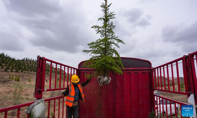 A drone lifts a sapling from a truck at a park in Lanzhou, northwest China's Gansu Province, April 27, 2026. Over the past few days, several drones shuttle back and forth over more than 2,300 mu (about 153 hectares) of barren hills here to accurately lift saplings and efficiently assist afforestation operations.

