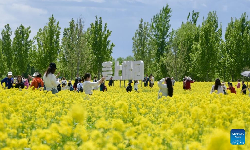 People take photos amid rapeseed flowers at Beijing Wenyuhe Park in Beijing, capital of China, May 3, 2026.(Xinhua/Wu Qinghao)