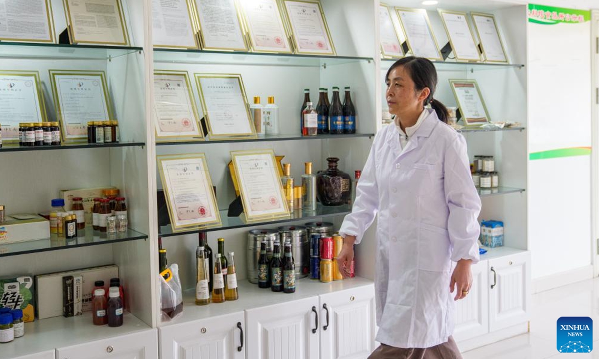 Zhang Yuhong (L) talks with her student at an institute of agricultural product development and food science in Lhasa, southwest China's Xizang Autonomous Region, April 29, 2026.Photo: Xinhua