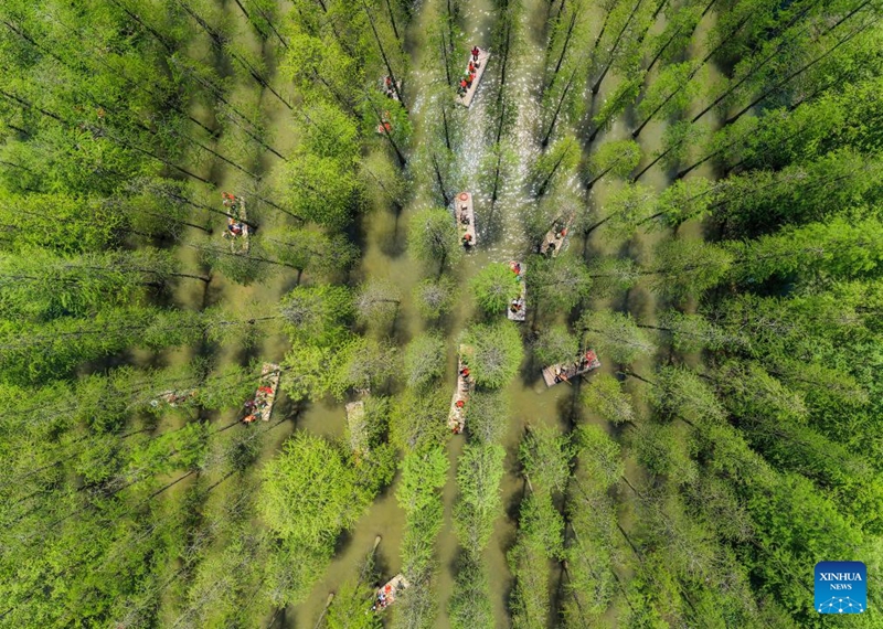 This aerial drone photo taken on May 4, 2026 shows people visiting the Hongze Lake Wetland Scenic Area in Sihong County, east China's Jiangsu Province. People across China stepped out to fully enjoy their leisure time during the ongoing May Day holiday. (Photo by Xu Changliang/Xinhua)